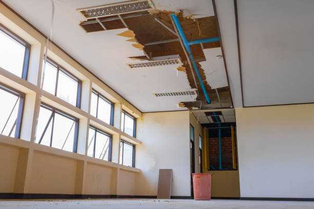 Best Water damage restoration near me  in Fkville, AL