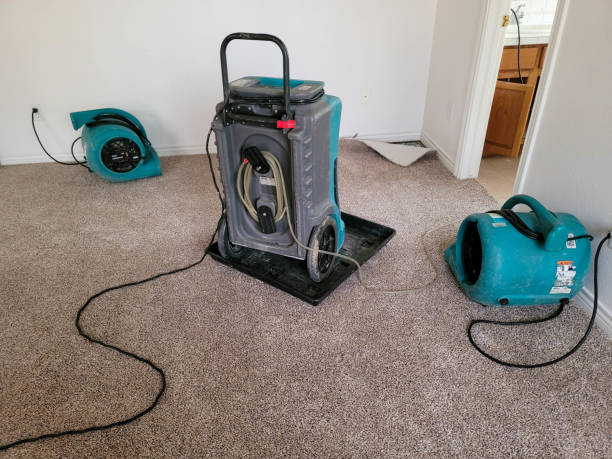 Falkville, AL Water damage restoration Company