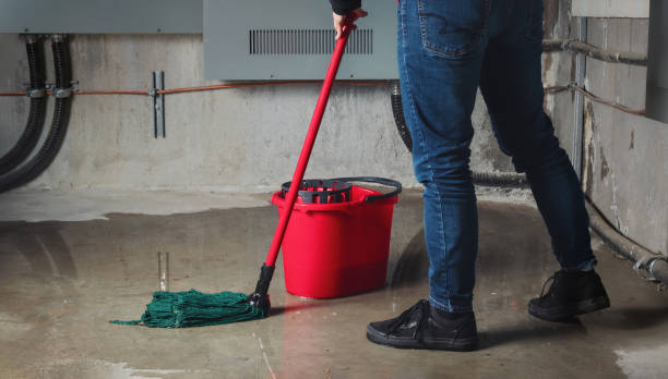 Best 24/7 water damage repair  in Fkville, AL