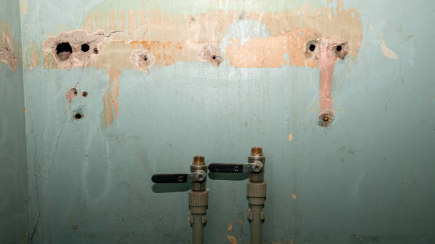 Best Commercial water damage restoration  in Fkville, AL