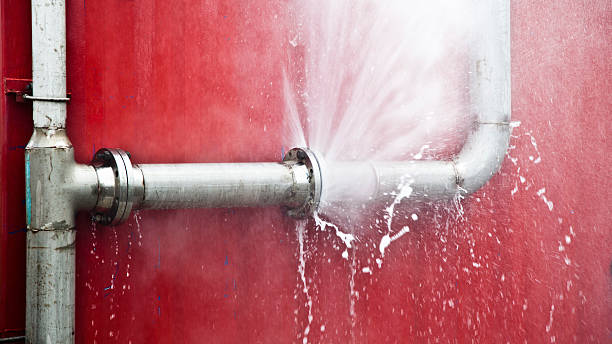 Best Residential water damage restoration  in Fkville, AL